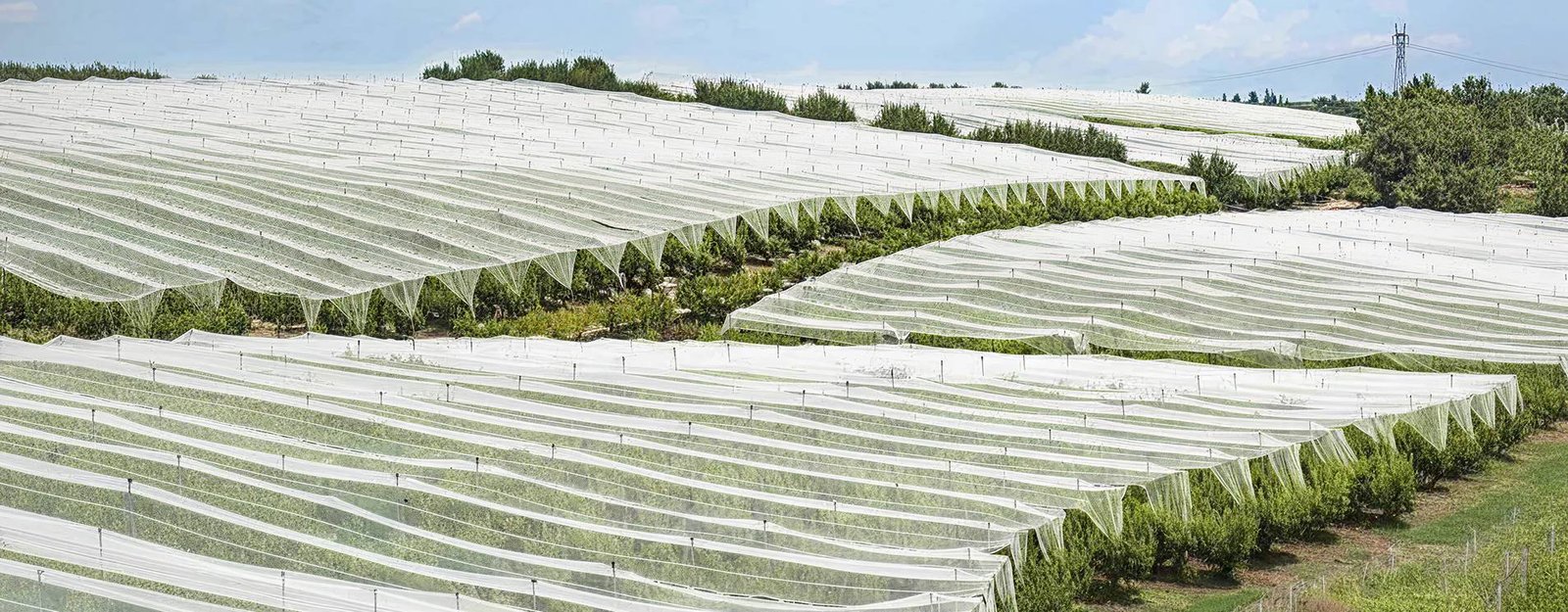 UV Treated Nonwoven Fabric Banner