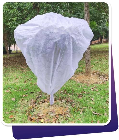 What Are Agriculture Nonwoven Products