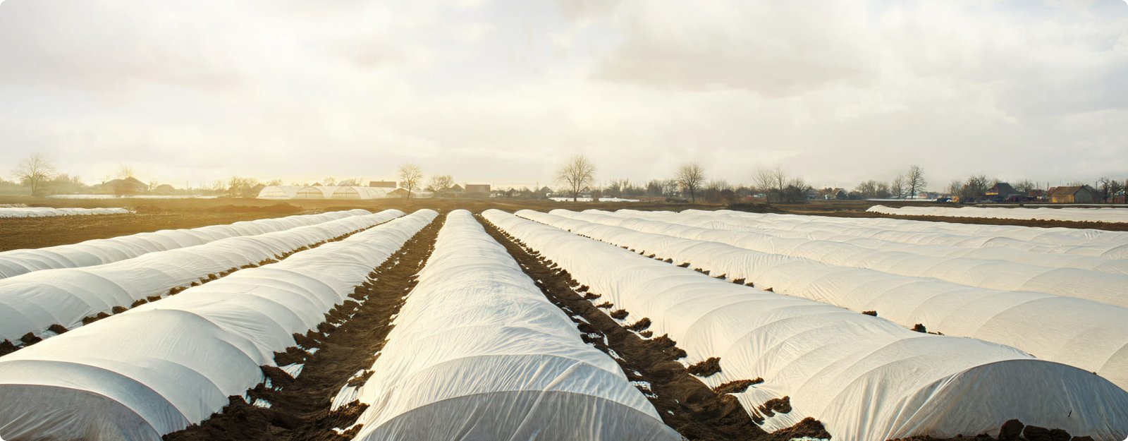 Frost Cover - UV Protected Banner