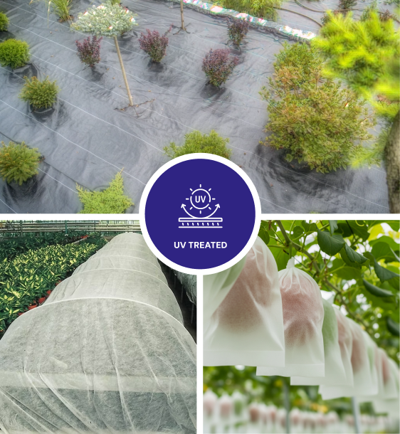 UV-Treated-Nonwoven-Fabric-img