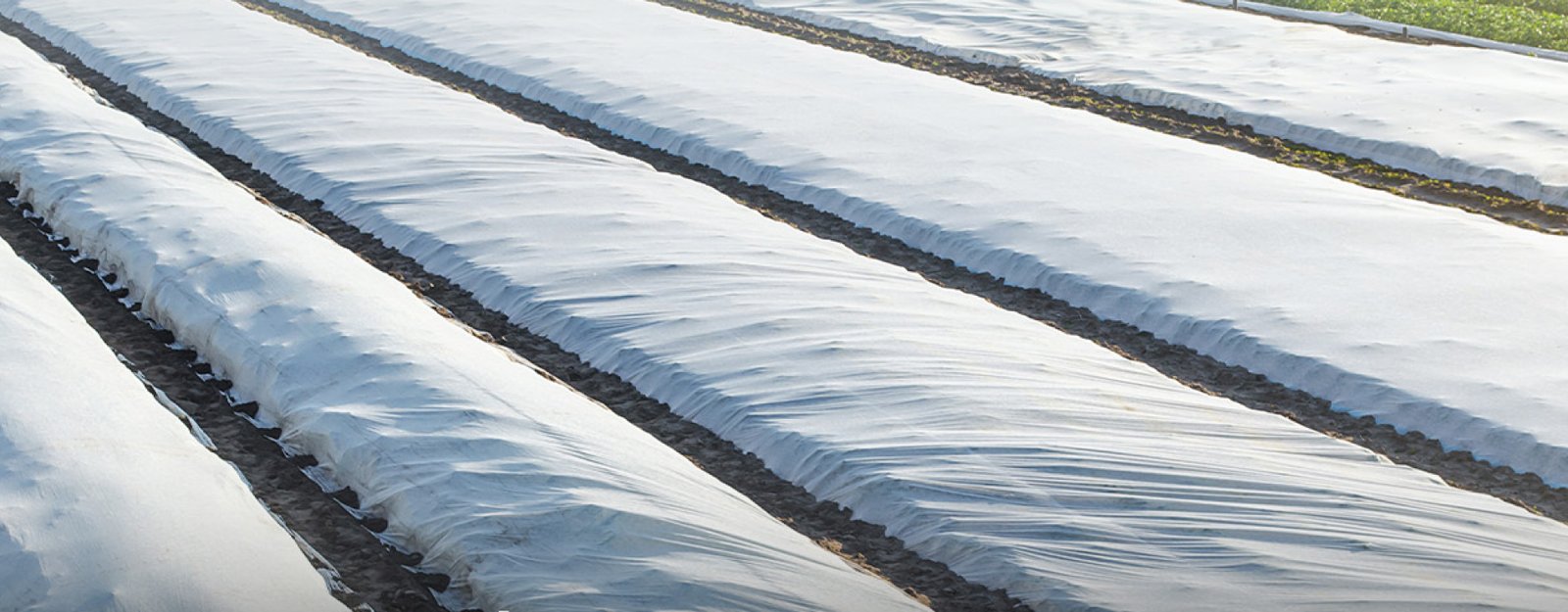 Crop Cover - UV Protected